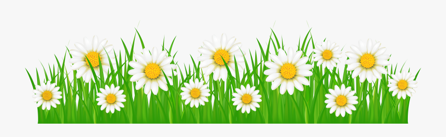 Jpg Free Download Ground With White Flowers - Grass With Flowers Png, Transparent Clipart