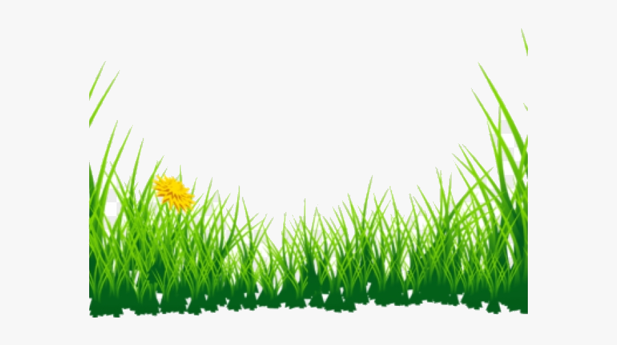 Grass Clipart Boarder Green Transparent Png Background Picsart Grass Png Free Transparent Clipart Clipartkey