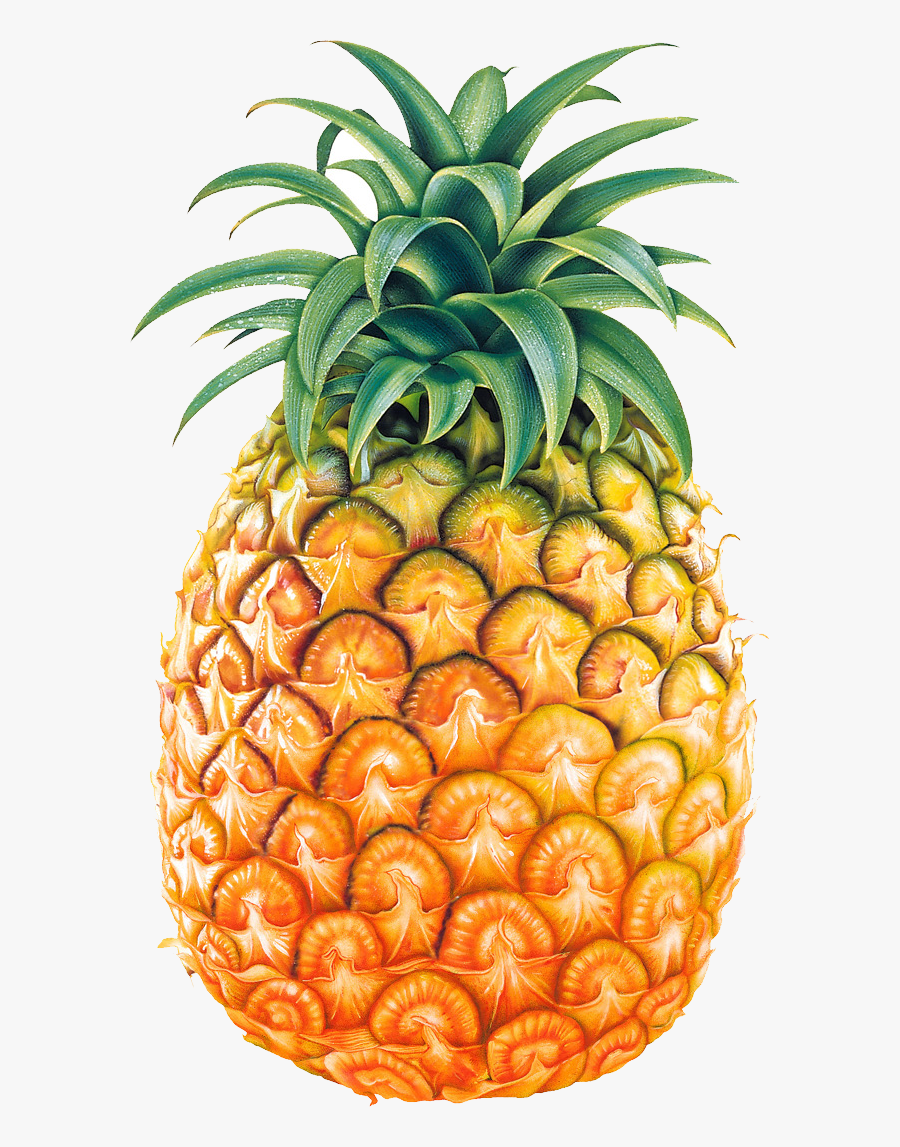 Pineapple Images Free Pictures Download Cliparts - Pineapple Png, Transparent Clipart