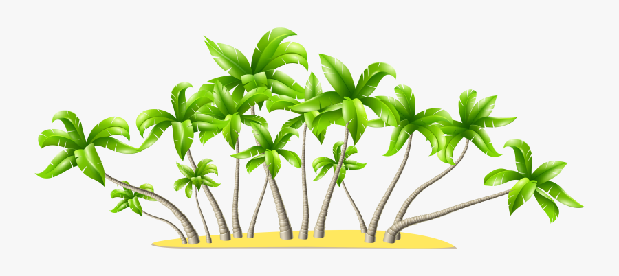Palm Tree Art Tropical Palm Trees Clip Art Clip Art - Coconut Trees Png, Transparent Clipart