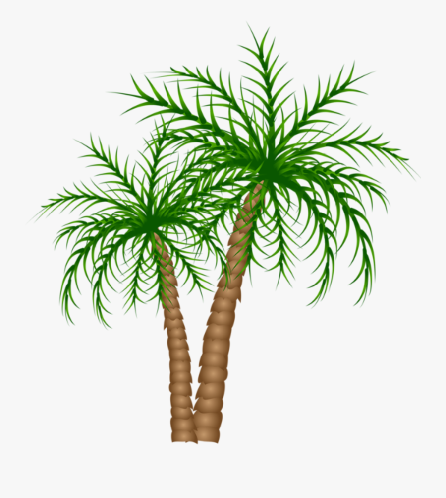 Transparent Palm Trees Clipart - Palm Trees Transparent Background, Transparent Clipart