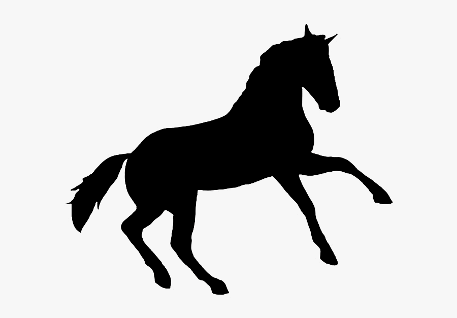 Printable Horse Silhouette - Free Appaloosa Clip Art, Transparent Clipart