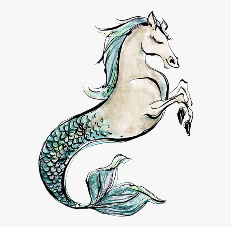 #watercolor #seahorse #mermaid #merman #horse #clipart - Illustration, Transparent Clipart