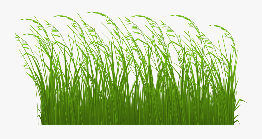 Grass Clipart Transparent Free Images - Grass Gif Clip Art, Transparent Clipart