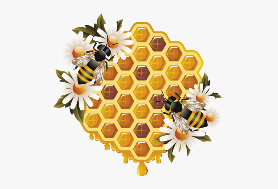 Honey Bees Clipart Eps Vector - Honey And Bee Png, Transparent Clipart