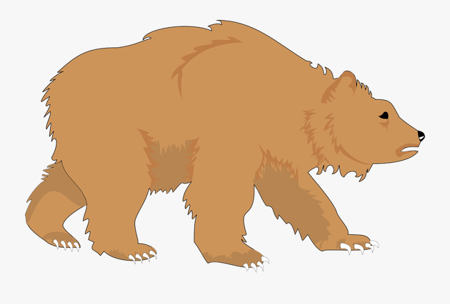 Brown Bear American Black Bear Polar Bear Clip Art - Clip Art Bear Crawl, Transparent Clipart
