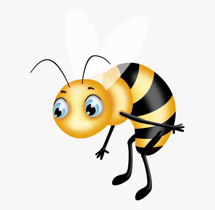 Bee Clipart , Png Download - Honeybee, Transparent Clipart