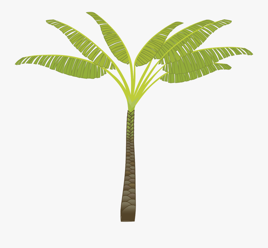 Free Vector Palm Tree Clip Art - Banana Tree Cartoon Transparent, Transparent Clipart