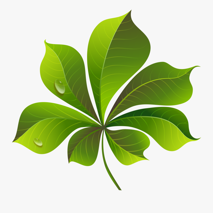 Leaf Cliparts Transparent Green - Green Leaf Png, Transparent Clipart