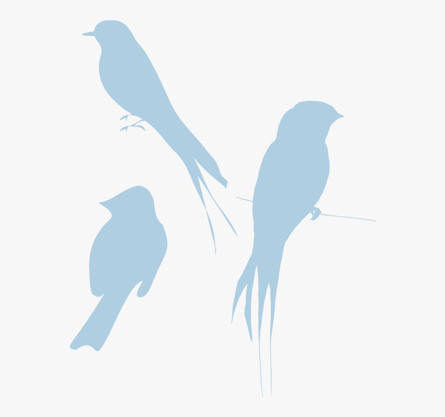 Thumb Image - Bird Silhouette, Transparent Clipart