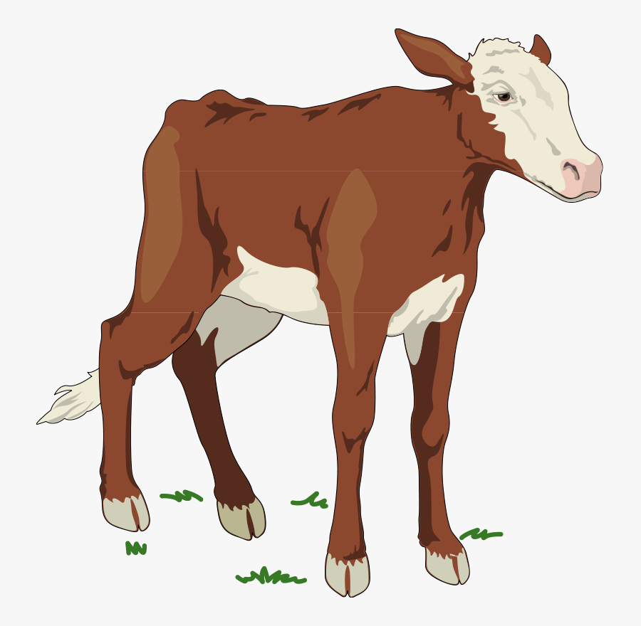 Transparent Animal Farm Png - Baby Cow Clip Art Png, Transparent Clipart