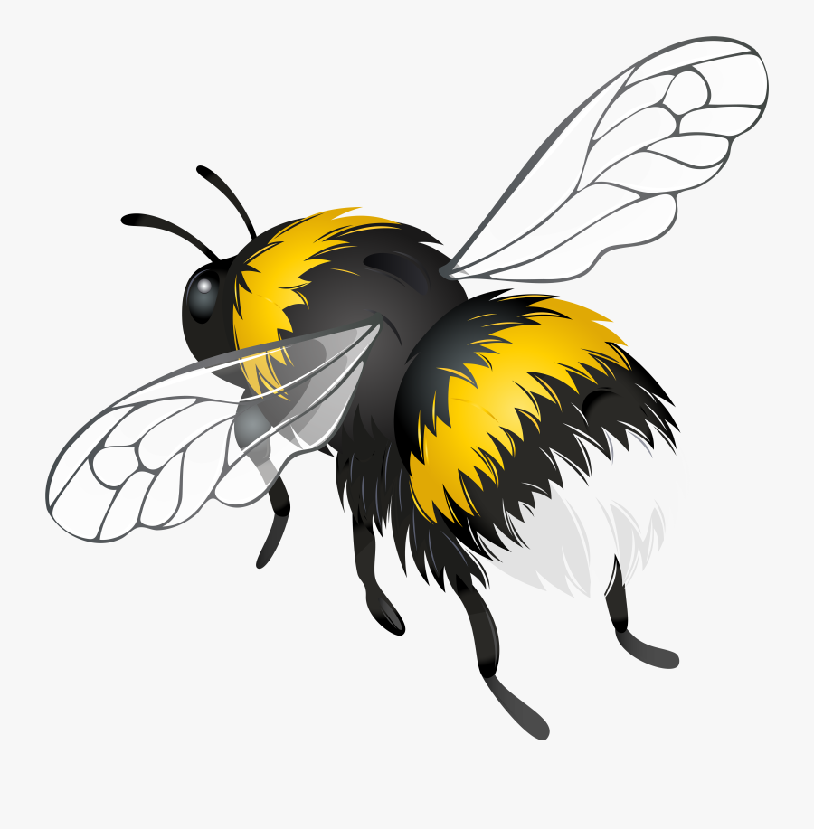 Download Flying Bee Clipart Png Photo - Clip Art Flying Bee, Transparent Clipart