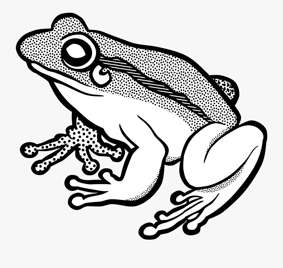 Graphic Royalty Free Library Line Art Collection Lineart - Frog Black And White Drawing, Transparent Clipart
