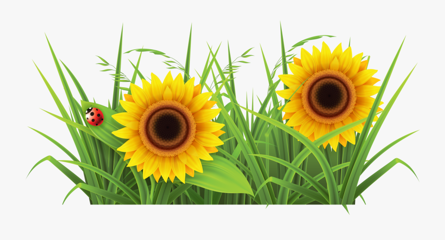 Sunflower Background Png Images - Grass Clipart, Transparent Clipart