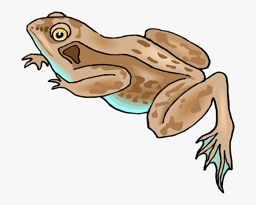 Brown Frog Clip Art, Transparent Clipart