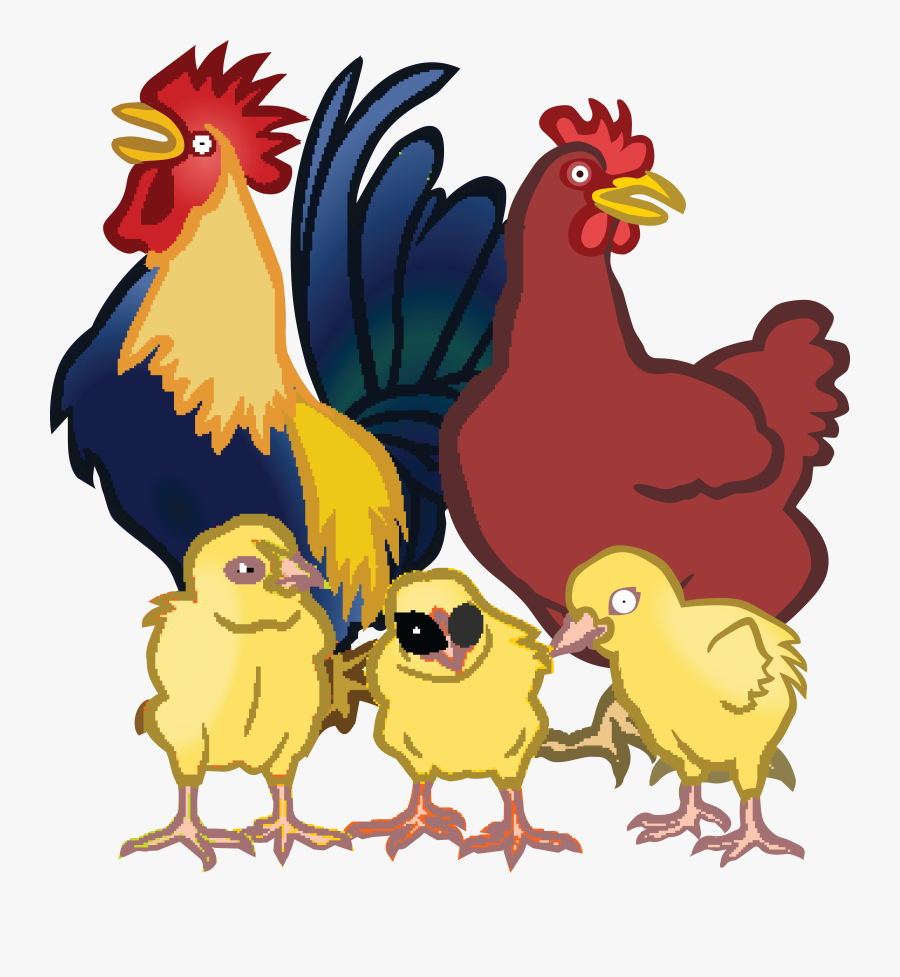 Free Clipart Of A Chicken Family Chickens Clipart- - Chickens Clipart, Transparent Clipart