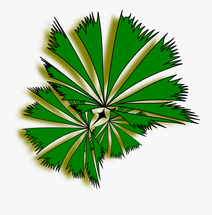 Palm Tree Clip Art Top View Clipart - Clip Art Tree Top View Transparent, Transparent Clipart