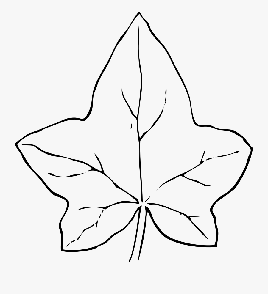 Leaves Group With Items - Pumpkin Leaf Clipart Black And White, Transparent Clipart