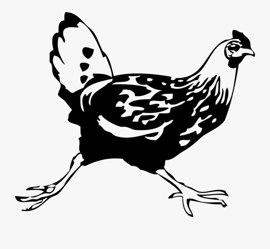 Running Chicken - Terry Pratchett Quote Chicken, Transparent Clipart