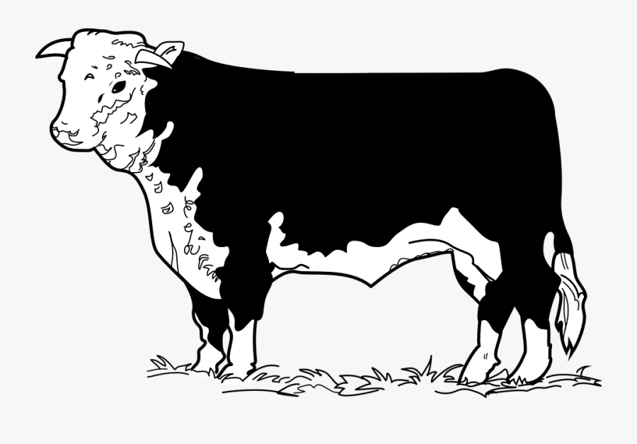 Beef Clipart Female Cow - Beef Cow Clip Art, Transparent Clipart