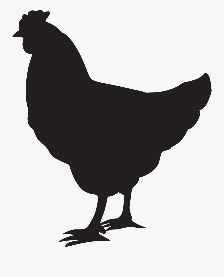 Chicken Silhouette Hen Rooster Free Clipart Hd Clipart, Transparent Clipart