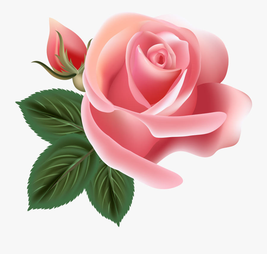 Pin By Татьяна Саенко On Фотошоп - Pink Rose Flower Clip Art, Transparent Clipart