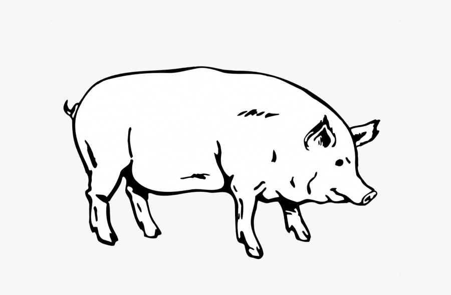 Realistic Pig Clip Art - photo #22