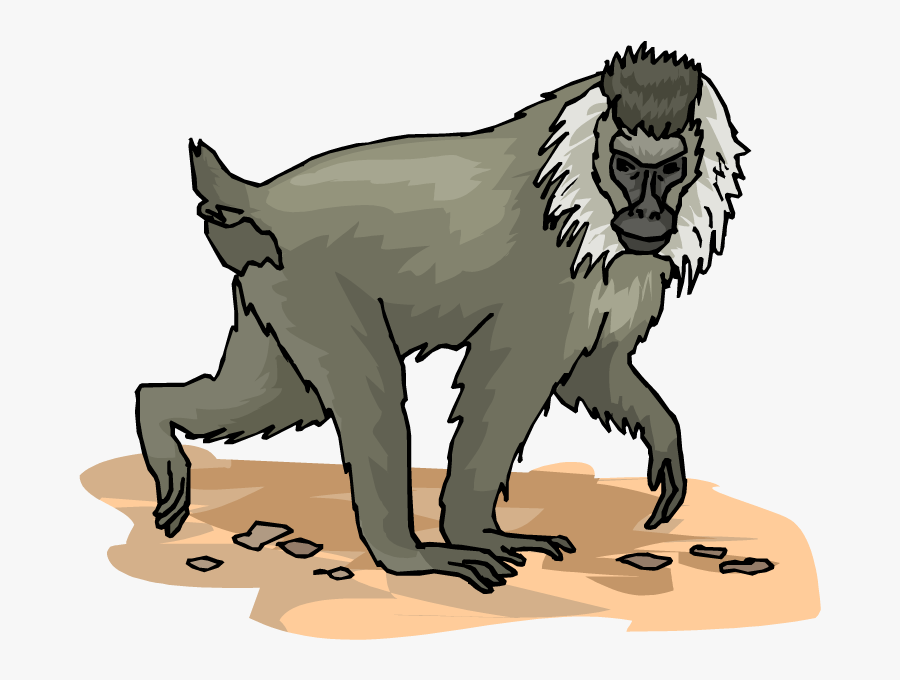 Sitting Baboon Clipart, Transparent Clipart