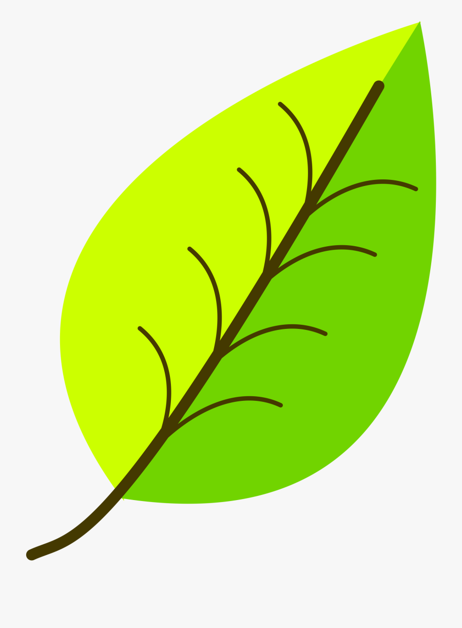 Leaves Drawing With Color, Transparent Clipart
