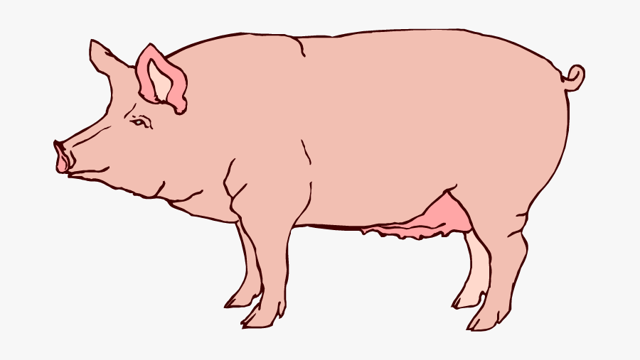 Clip Art Realistic - Realistic Pig Clip Art, Transparent Clipart