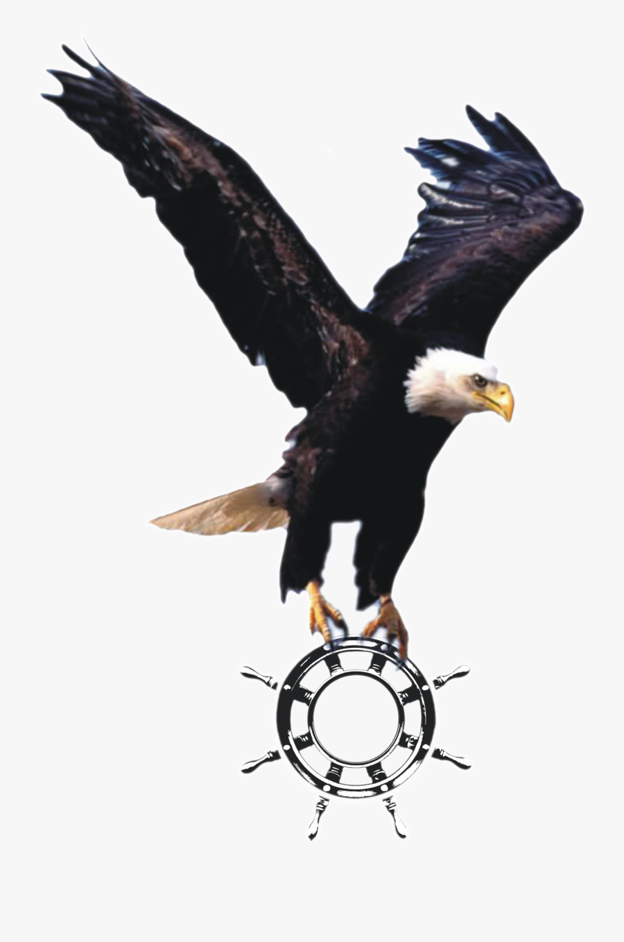 Flying Eagle Png Clipart , Png Download - Transparent Background Eagle Logo, Transparent Clipart