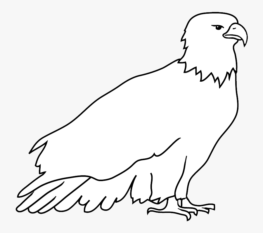 Outline Sketch Of Bald Eagle - Outline For Bald Eagle, Transparent Clipart