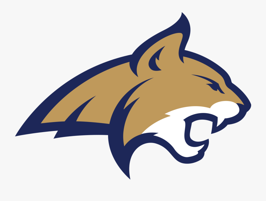 Bobcat Clipart Msu - Montana State Bobcats Logo, Transparent Clipart