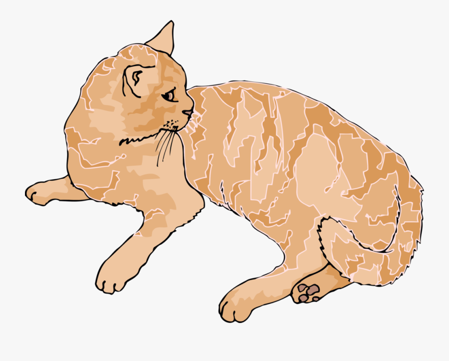 Wild Cat,carnivoran,kitten - Cat Laying Down Clipart, Transparent Clipart