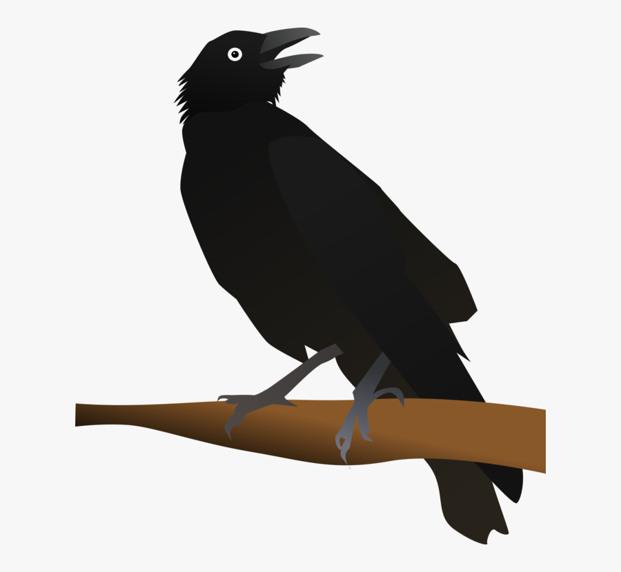 Crow Like Bird,new Caledonian Crow,american Crow - Clip Art Image Of Crow, Transparent Clipart