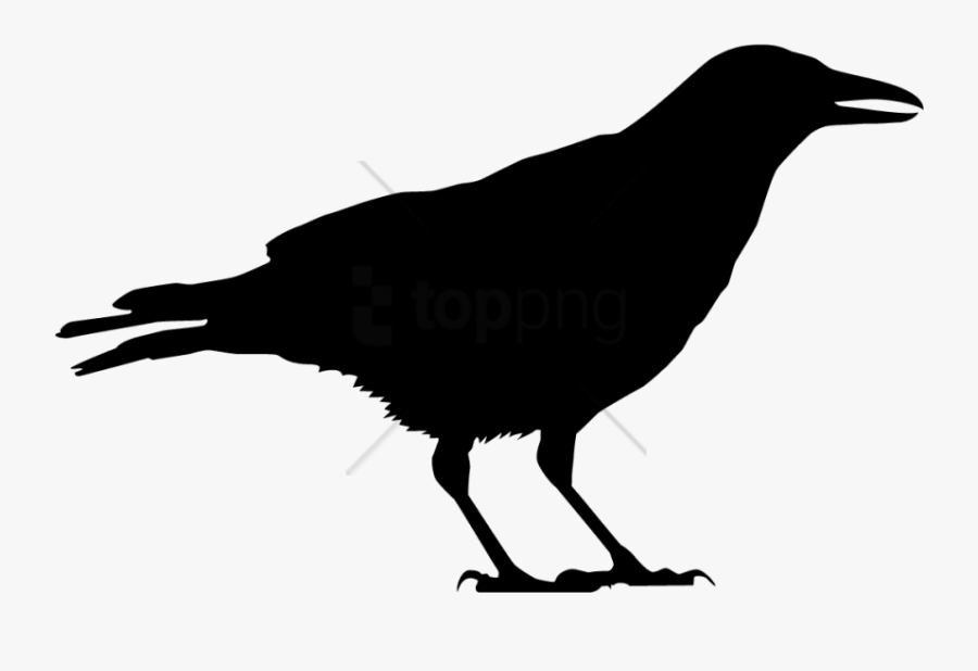 Crow Silhouette Png - Black And White Crow Png, Transparent Clipart