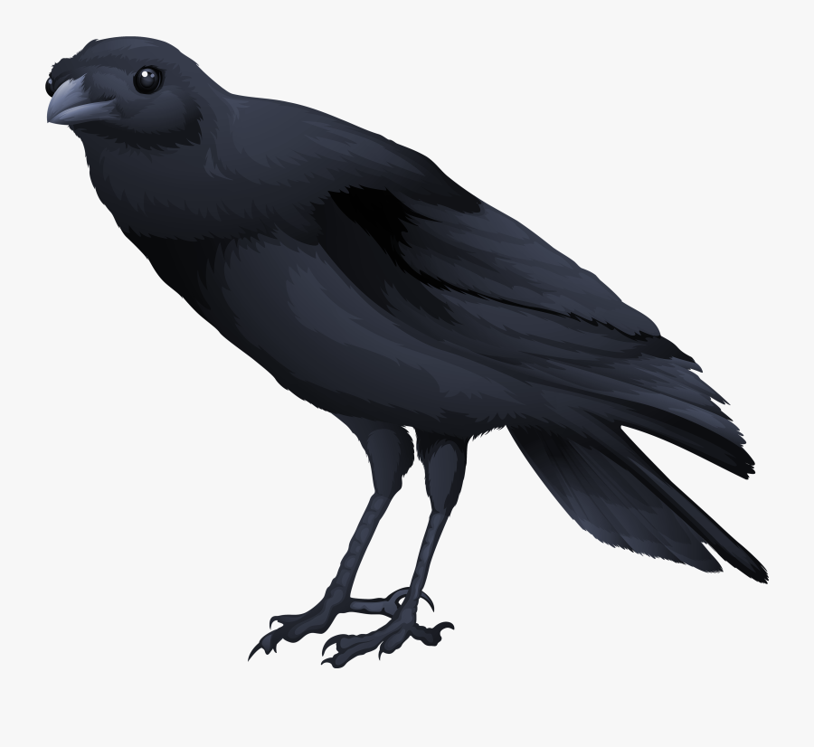 Raven Clipart Blackbird - Black Bird Transparent Background, Transparent Clipart