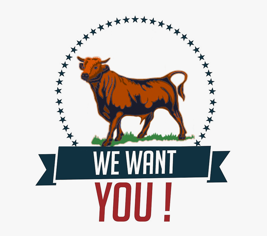 Bovine,logo,bull,clip Art,graphics,font,dog Breed,canidae,cow-goat - We Want You Art, Transparent Clipart