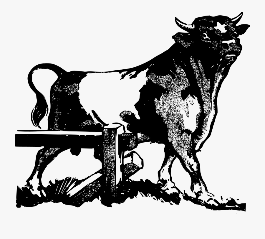 Durham Bull Outline, Transparent Clipart