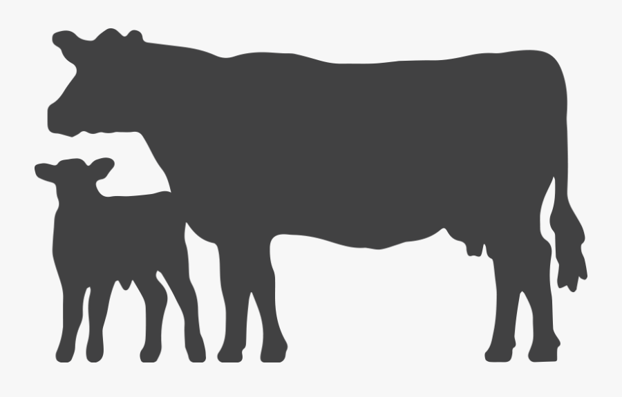 Angus Media - Cow Silhouette Png , Free Transparent Clipart - ClipartKey