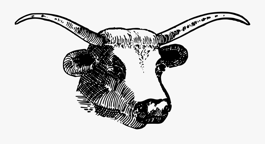 Bull Head With Horns - Horns Clipart, Transparent Clipart