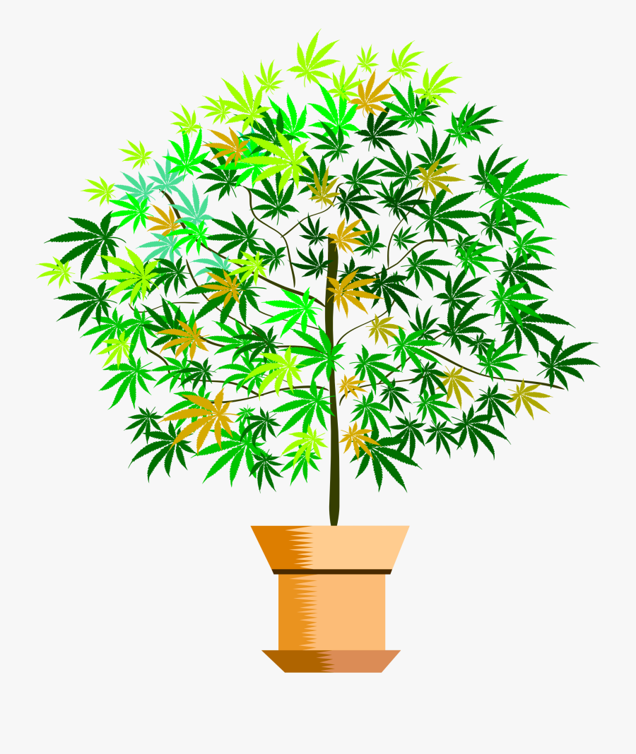 Potted Plant Png - Clip Art , Free Transparent Clipart - ClipartKey