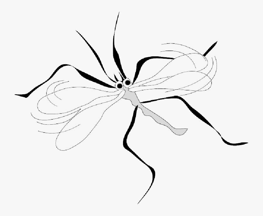 Mosquito Clip Art , Png Download - Mosquito Gif Without Background, Transparent Clipart
