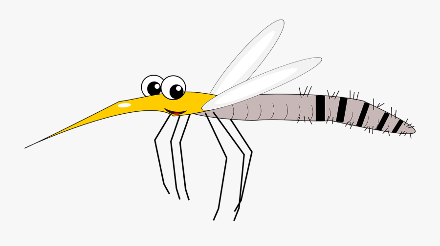 Mosquito, Transparent Clipart