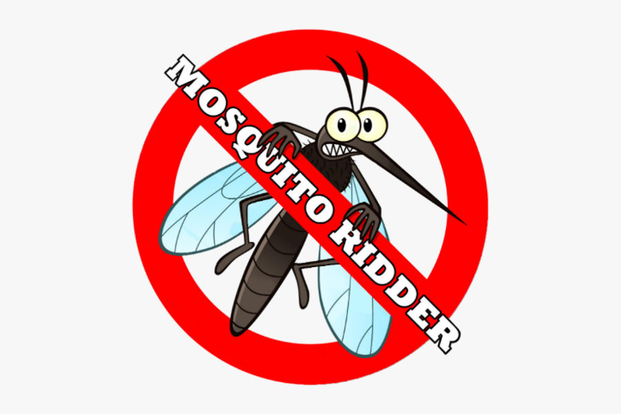 Motov3 - Net-winged Insects, Transparent Clipart