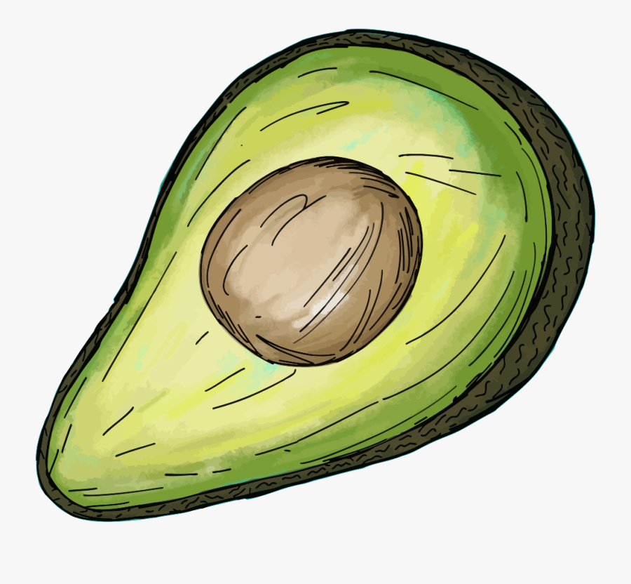 Avocado - Avocado Clip Art, Transparent Clipart