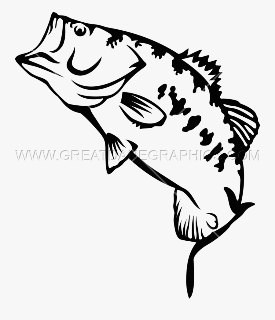 Large Mouth Bass - Black And White Fish Largemouth Bass Png , Free ...