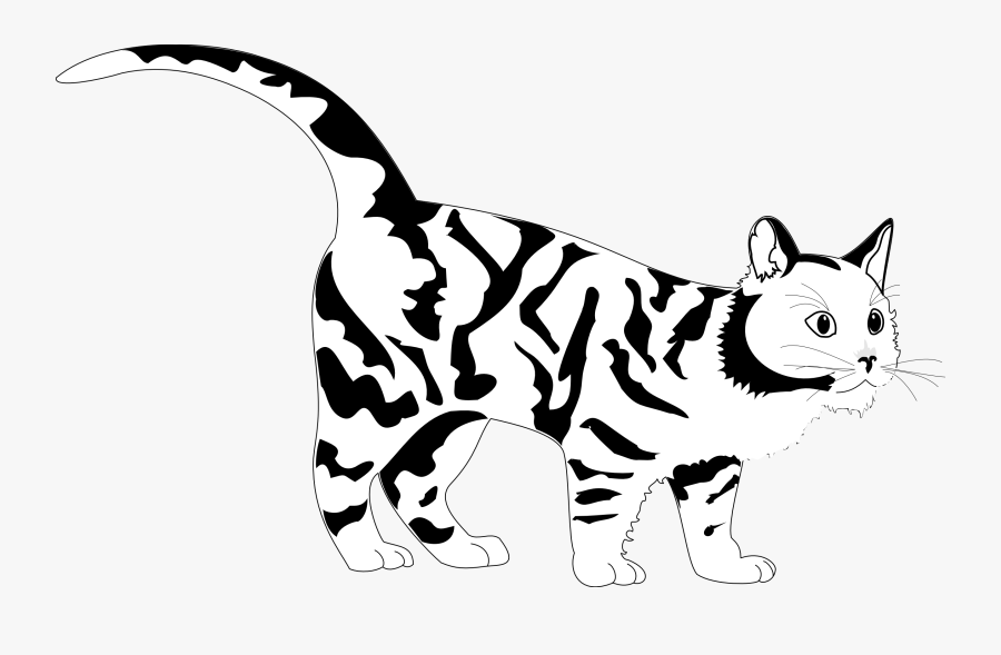 Tiger Cat Black White Line Art Coloring Sheet Colouring - Black And White Cat Colouring Pages, Transparent Clipart