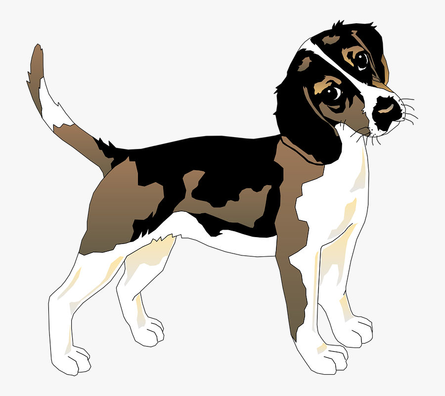 Black, White, Dog, Beagle, Pet, Animal, Mammal, Fur - Datos Curiosos Del Perro, Transparent Clipart