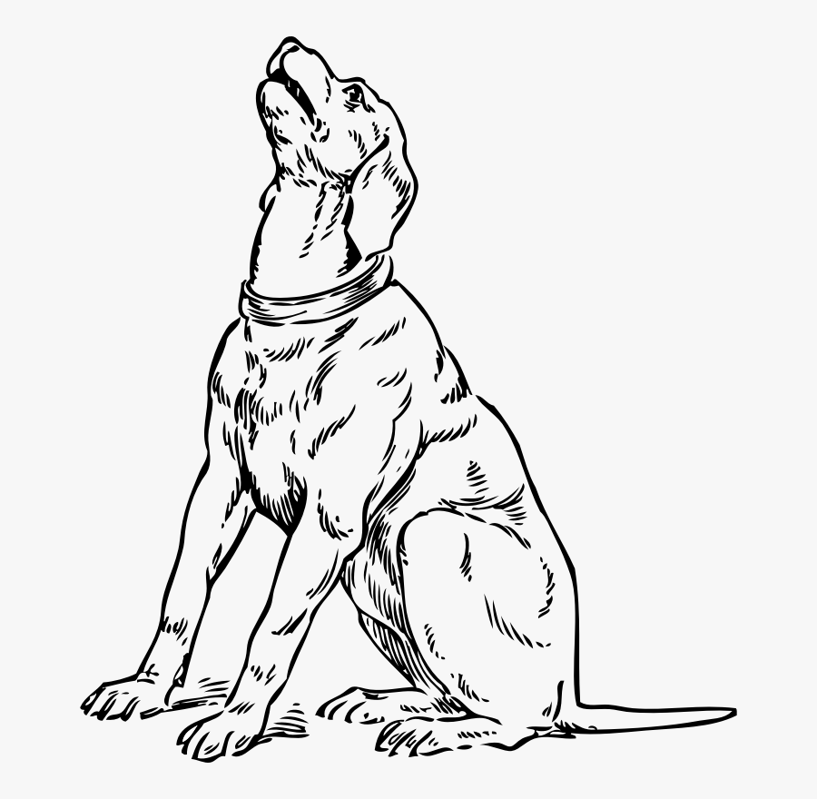 Barking Dog Clip Art At Clker - Dog Looking Up Drawing, Transparent Clipart